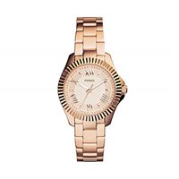Montre Fossil Femme Cecile in Acier AM4611 - AM4611